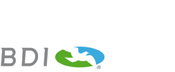BDI – BioEnergy International AG